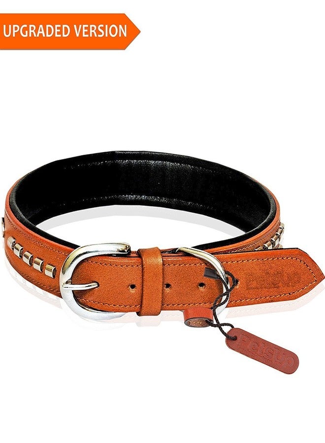 Skora Dog Leather Collar with Designer Studs,Tan Color-Small - Image 2
